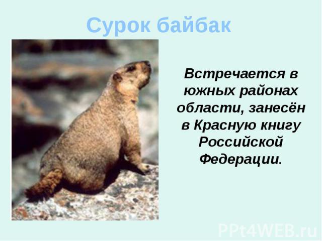 Сурок байбак Встречается в южных районах области, занесён в Красную книгу Российской Федерации.