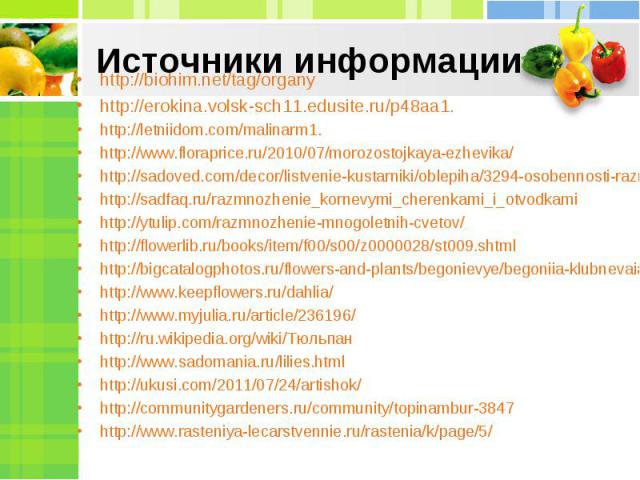Источники информации http://biohim.net/tag/organy http://erokina.volsk-sch11.edusite.ru/p48aa1. http://letniidom.com/malinarm1. http://www.floraprice.ru/2010/07/morozostojkaya-ezhevika/ http://sadoved.com/decor/listvenie-kustarniki/oblepiha/3294-oso…