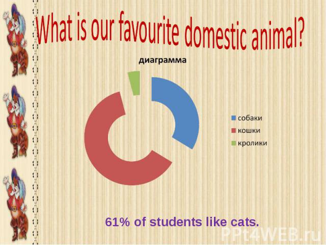 What is our favourite domestic ani mal? 61% of students like cats.