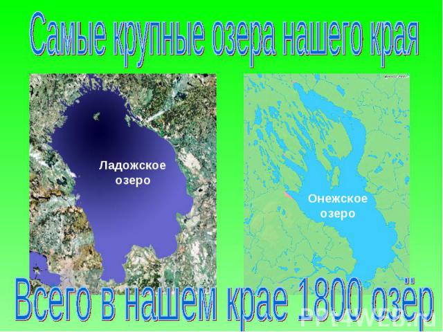 Самые крупные озера нашего края Всего в нашем крае 1800 озёр