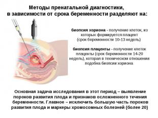 Методы пренатальной диагностики, в зависимости от срока беременности разделяют н