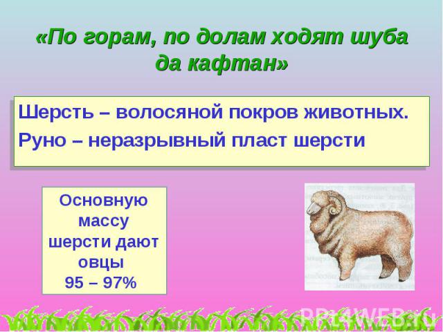 «По горам, по долам ходят шуба да кафтан»Шерсть – волосяной покров животных. Руно – неразрывный пласт шерсти Основную массу шерсти дают овцы 95 – 97%