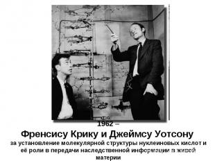1962 – Френсису Крику и Джеймсу Уотсону за установление молекулярной структуры н