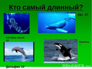 Кто самый длинный? Китовая акула 18 Дельфин 10 Кит Касатка 7