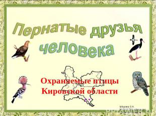 Пернатые друзья человека Охраняемые птицы Кировской области