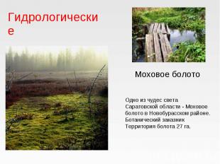 Гидрологические Моховое болото Одно из чудес света Саратовской области - Моховое