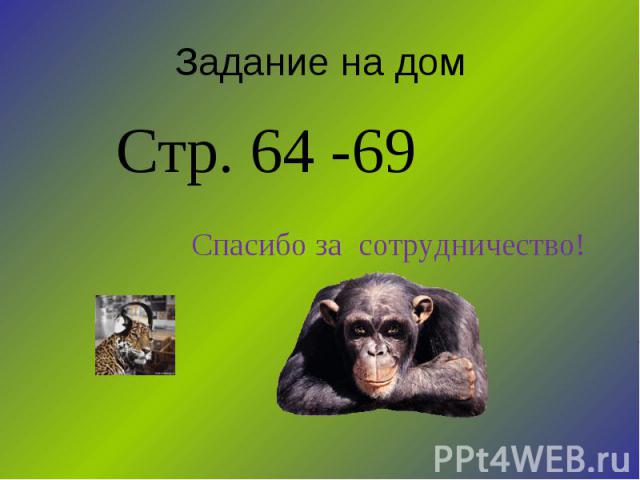 Задание на дом Стр. 64 -69 Спасибо за сотрудничество!