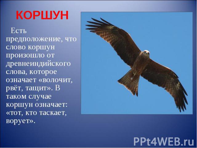 КОРШУН Есть предположение, что слово коршун произошло от древнеиндийского слова, которое означает «волочит, рвёт, тащит». В таком случае коршун означает: «тот, кто таскает, ворует».