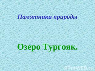 Памятники природы Озеро Тургояк.