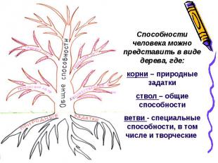 Способности человека можно представить в виде дерева, где: корни – природные зад