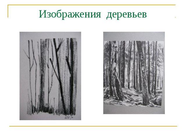 Изображения деревьев