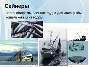 Сейнеры Это рыбопромышленное судно для лова рыбы кошельковым неводом. 