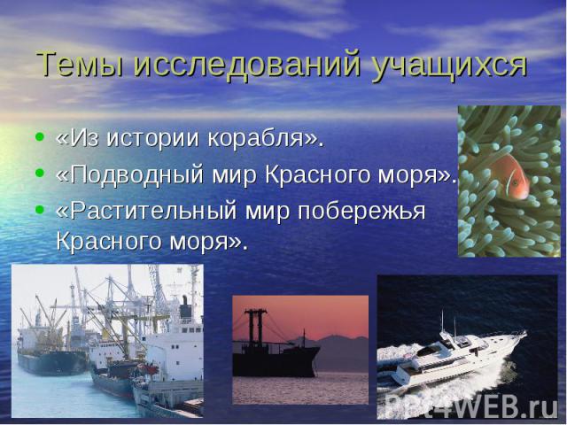 Темы исследований учащихся «Из истории корабля». «Подводный мир Красного моря». «Растительный мир побережья Красного моря».