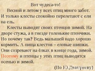 Вот чудеса-то! Весной и летом у всех птиц много забот. И только клесты спокойно