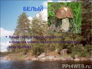 БЕЛЫЙ Какой гриб, в одной из русских народных сказок, назван «полковником всех г