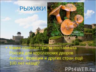 РЫЖИКИ Какие солёные грибы поставляла Россия для королевских дворов Англии, Фран