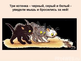 Три котенка – черный, серый и белый - увидели мышь и бросились за ней!