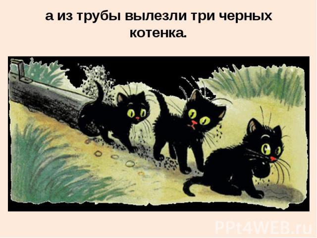 а из трубы вылезли три черных котенка.