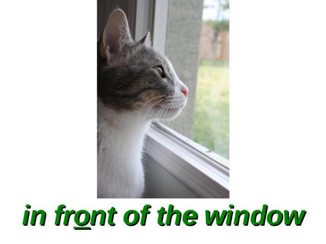 in front of the window