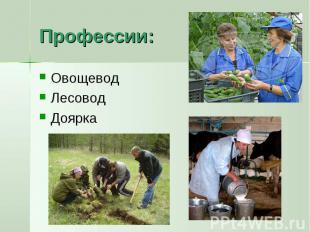Профессии: Овощевод Лесовод Доярка