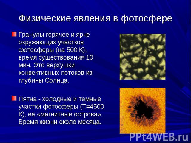 Физические явления в фотосфере Гранулы горячее и ярче окружающих участков фотосферы (на 500 К), время существования 10 мин. Это верхушки конвективных потоков из глубины Солнца. Пятна - холодные и темные участки фотосферы (Т=4500 К), ее «магнитные ос…