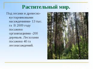 Растительный мир. Под лесами и древесно-кустарниковыми насаждениями- 13 тыс. га