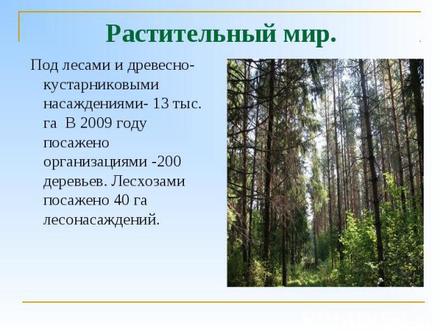 Растительный мир. Под лесами и древесно-кустарниковыми насаждениями- 13 тыс. га В 2009 году посажено организациями -200 деревьев. Лесхозами посажено 40 га лесонасаждений.