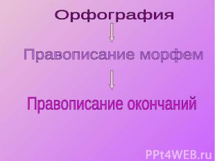 Орфография Правописание морфем Правописание окончаний