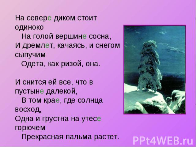 На севере диком стоит одиноко На голой вершине сосна, И дремлет, качаясь, и снегом сыпучим Одета, как ризой, она. И снится ей все, что в пустыне далекой, В том крае, где солнца восход, Одна и грустна на утесе горючем Прекрасная пальма растет.