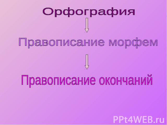 Орфография Правописание морфем Правописание окончаний