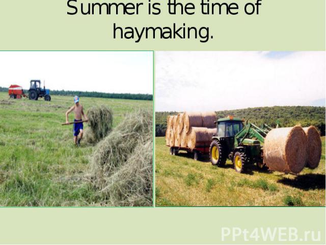 Summer is the time of haymaking.