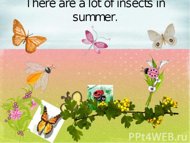 There are a lot of insects in summer.