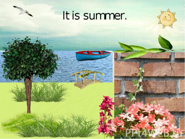 It is summer.