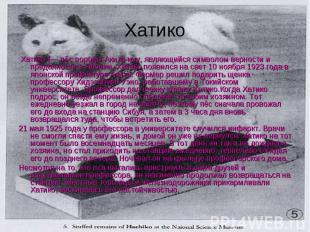Хатико Хатико (— пёс породы Акита-ину, являющийся символом верности и преданност
