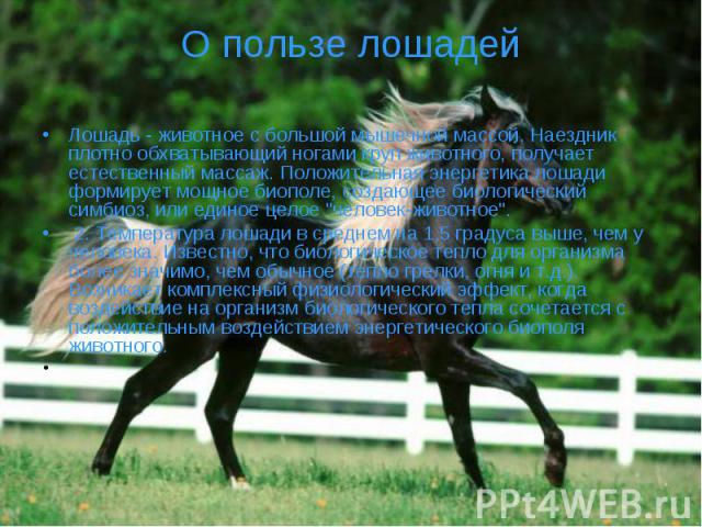 О пользе лошадей Лошадь - животное с большой мышечной массой. Наездник плотно обхватывающий ногами круп животного, получает естественный массаж. Положительная энергетика лошади формирует мощное биополе, создающее биологический симбиоз, или единое це…