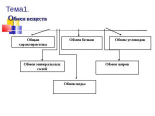 Тема1. Обмен веществ