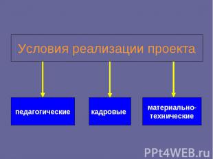 Условия реализации проекта