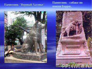 Памятник "Верный Хатико"Памятник - собаке по имени Барри..