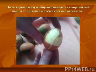 После варки в шелухе яйцо окрашивается в коричневый цвет, а от листочка остается