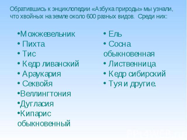 Обратившись к энциклопедии «Азбука природы» мы узнали, что хвойных на земле около 600 разных видов. Среди них: Можжевельник Пихта Тис Кедр ливанский Араукария Секвойя Веллингтония Дугласия Кипарис обыкновенный Ель Сосна обыкновенная Лиственница Кедр…