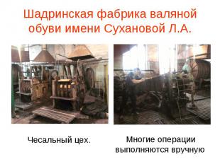 Шадринская фабрика валяной обуви имени Сухановой Л.А. Чесальный цех. Многие опер