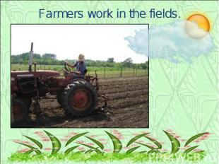 Farmers work in the fields.