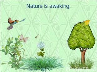 Nature is awaking.