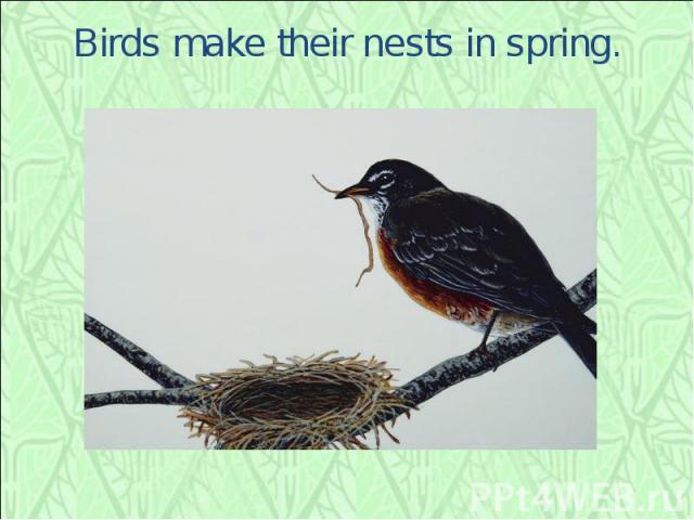 Birds make their nests in spring.