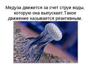 Медуза движется за счет струи воды, которую она выпускает.Такое движение называе