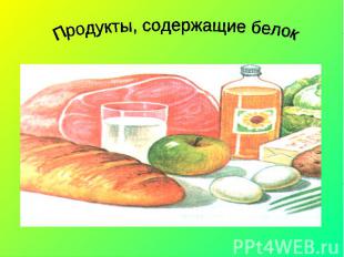 Продукты, содержащие белок