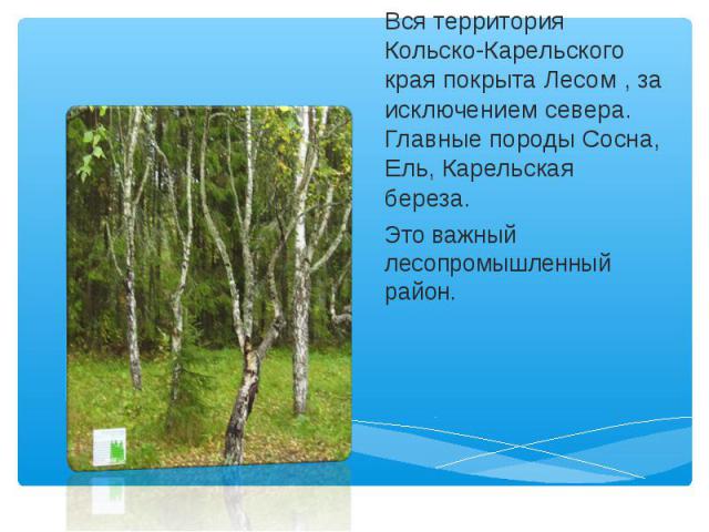 Вся территория Кольско-Карельского края покрыта Лесом , за исключением севера. Главные породы Сосна, Ель, Карельская береза. Это важный лесопромышленный район.