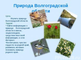 Природа Волгоградской области Цель: Изучить природу Волгоградской области. Задач