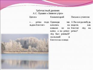 Трёхчастный дневник А.С. Пушкин «Зимнее утро»