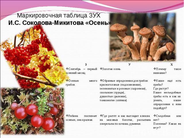 Маркировочная таблица ЗУХ И.С. Соколова-Микитова «Осень»